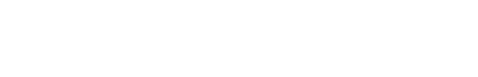 NFSEE